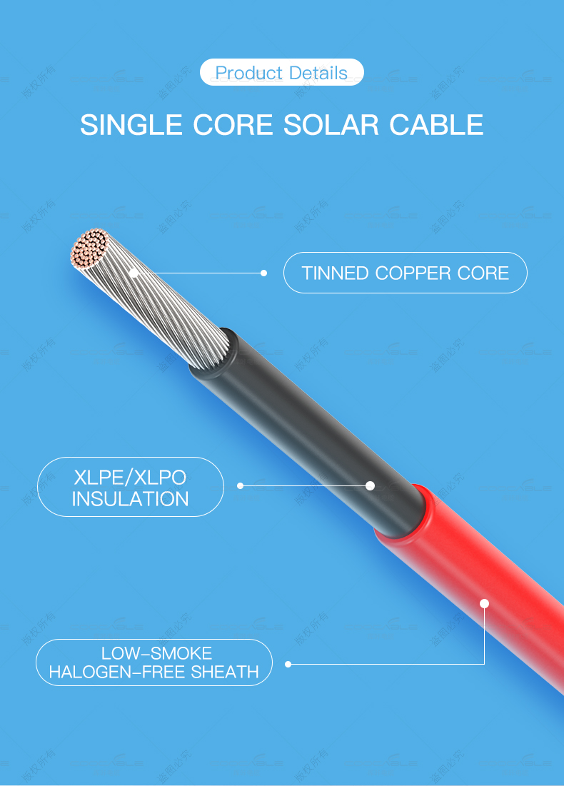 Solar Cable (图2)